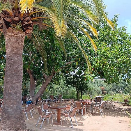 El Palomar De La Brena Hotell Barbate Exteriör bild