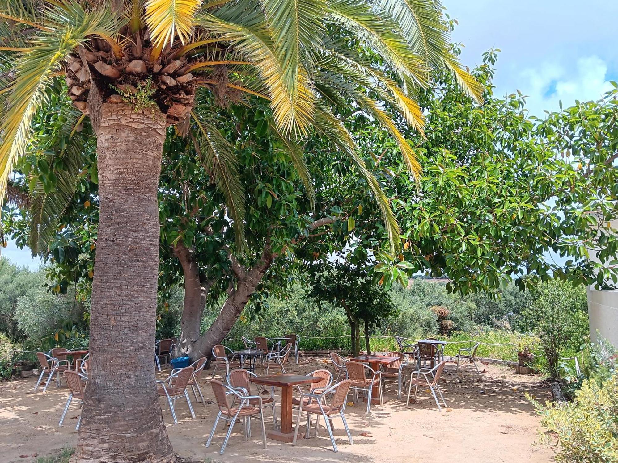 El Palomar De La Brena Hotell Barbate Exteriör bild