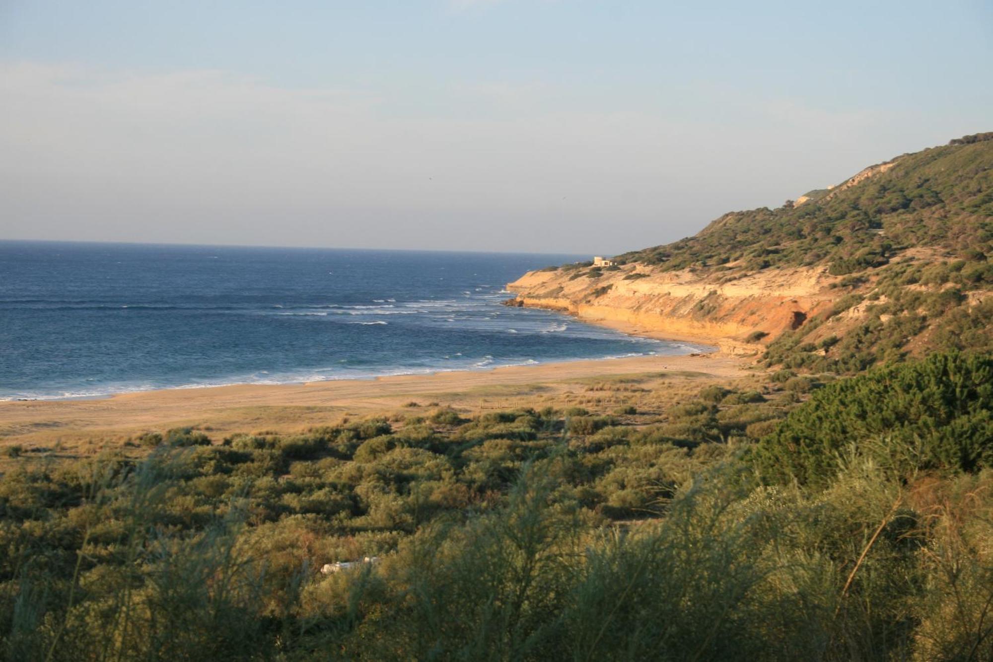 El Palomar De La Brena Hotell Barbate Exteriör bild