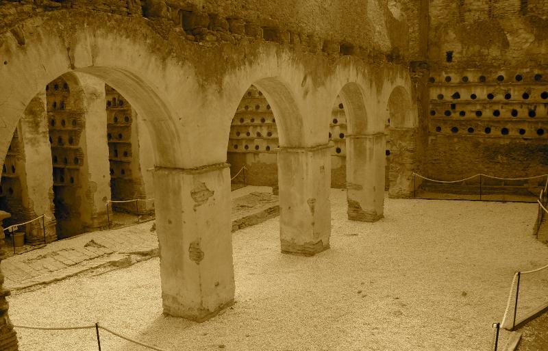 El Palomar De La Brena Hotell Barbate Exteriör bild